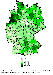 Silomaisanbau auf Landkreisebene 1999