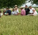 Agrarzentrum Rendsburg: Tag der offenen Tr bertraf mit knapp 10.000 Besuchern alle Erwartungen 