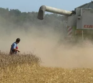 Getreideernte Mecklenburg-Vorpommern 2013