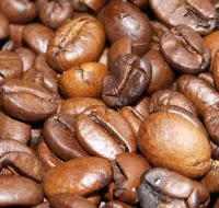 Kaffeeproduktion