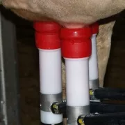Vorbildliche Milchproduktion