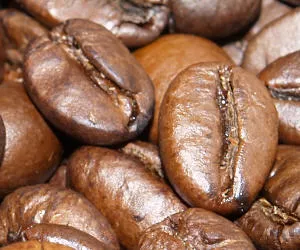 Kaffee-Verarbeitung