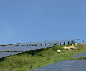 Solaranlage auf Ackerflche