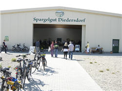(c) Spargelgut Diedersdorf