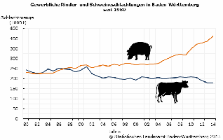 Gewerbliche Rinder- und Schweineschlachtungen in BW