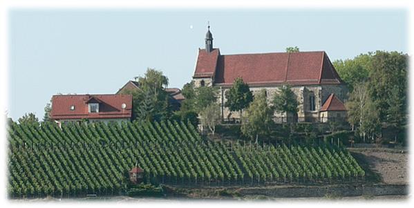 Weinprinzessin Burgwerben-Kriechau