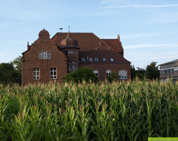 Landwirtschafliches Technologiezentrum Augustenberg - 150 Jahre LTZ