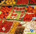 Reichaltige Tomatenauswahl in der Markthalle von Stuttgart 