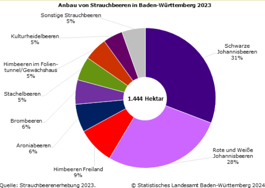 Anbau von Strauchbeeren in Baden-Wrttemberg 2023