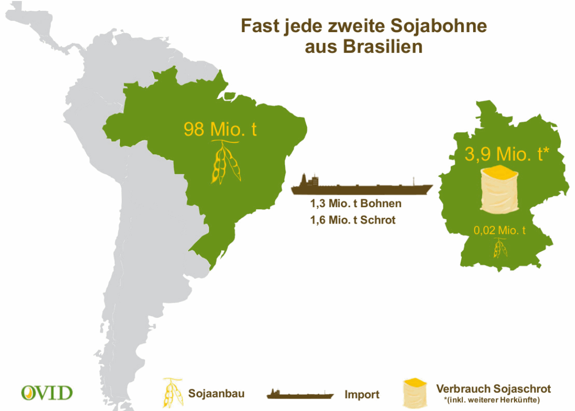 Fast jede zweite Sojabohne aus Brasilien