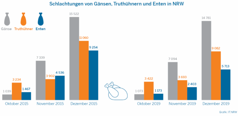 Geflgelschlachtungen in NRW 2015 und 2019