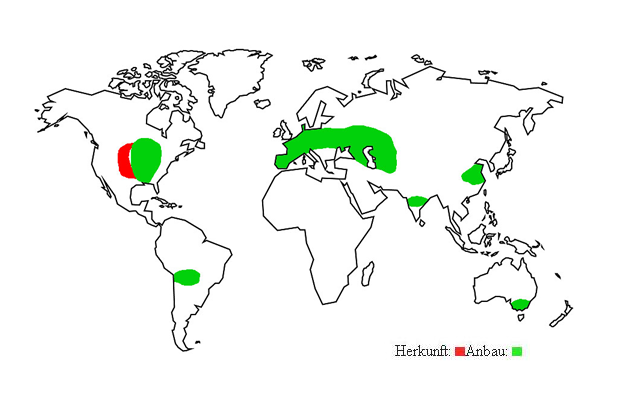 Herkunfts- und Verbreitungsgebiete des Topinambur