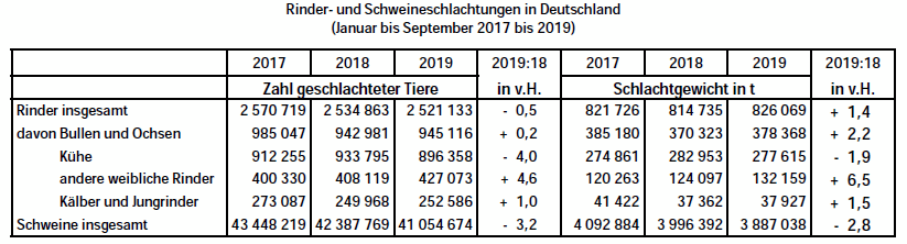 Rinder- und Schweineschlachtungen in Deutschland 2017 2018 2019