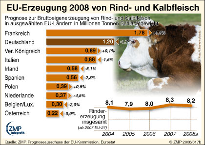 Statistik rund um die Rindfleischerzeugung