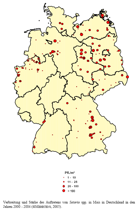 Verbreitung und Strke des Auftretens von Borstenhirse-Arten in Mais in Deutschland in den Jahren 2000 - 2004