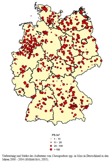 Verbreitung und Strke des Auftretens von Gnsefu-Arten in Mais in Deutschland in den Jahren 2000 - 2004