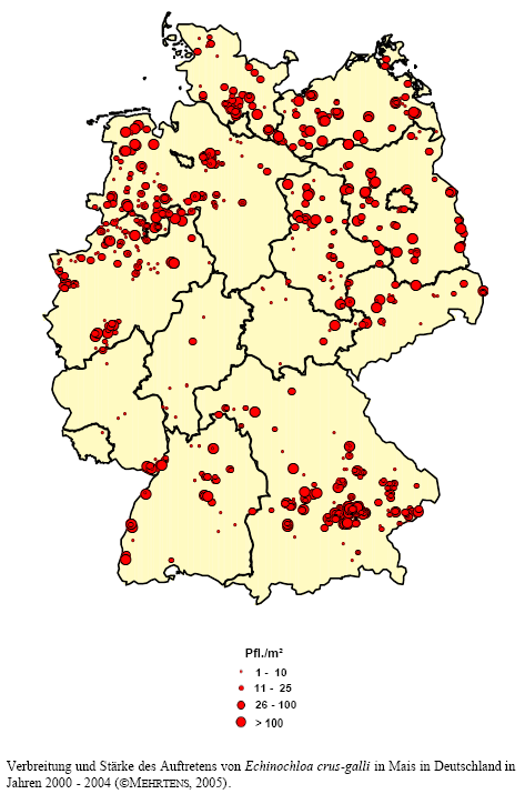 Verbreitung und Strke des Auftretens von Hhnerhirse in Mais in Deutschland in den Jahren 2000 - 2004