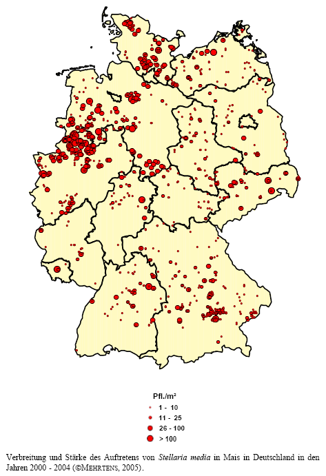 Verbreitung und Strke des Auftretens von Vogelmiere in Mais in Deutschland in den Jahren 2000 - 2004