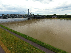 Hochwasser Rhein Hofgut Maxau 19-06-2016