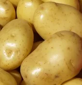 Kartoffeln - Anbaustatistik