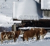 04. Februar 2012: Extreme Kälte in Oberstdorf