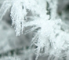 06. Februar 2012: Kälterekord auf Usedom
