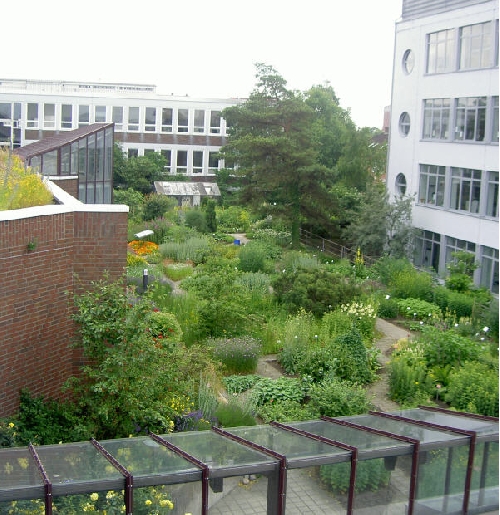 Arznei- und Giftpflanzengarten - Pharmazeutisches Institut der Universität Kiel