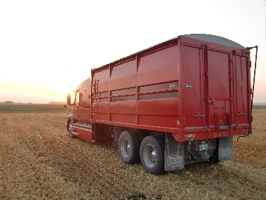 Truck zum Abfahren des Getreides vom Feld und sonstiger Transporte