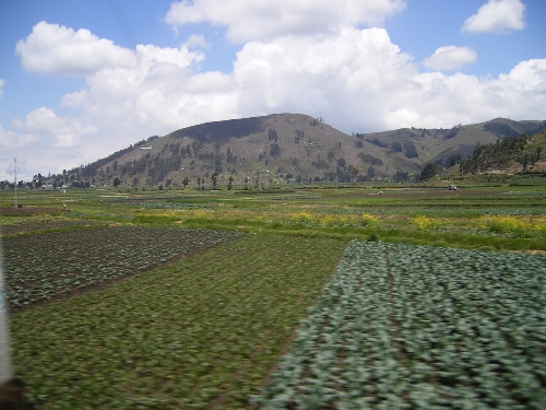 Ein fruchtbares Tal in der Nähe von Riobamba