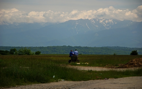 Ein Pferdefuhrwerk, in Rumänien das Verkehrsmittel Nr. 1.