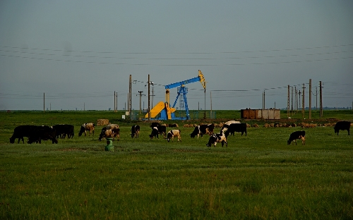 Auch in Rumänien werden Erdgas und -öl gefördert. Irgendwo in der Dobrudscha.