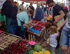Bauernmarkt Schwäbisch Gmünd