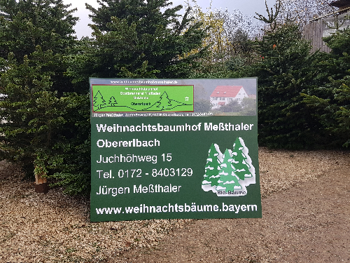Meßthaler<br />Obererlbach<br />Weihnachtsbäume<br />Weihnachtsbaumhof