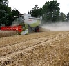 Ernteschätzung Getreide 2012 - Schleswig-Holstein
