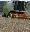 Ernteschätzung Getreide 2012 - Thüringen