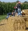 Jugendfarm Reisachmühle e.V.