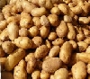 Letzter Handelstag EUREX Kartoffeln November 2012