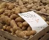 Mittelfrühe und späte Kartoffeln Statistik Berlin