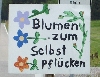 Blumen selber pflücken - Leonberg