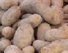 Kartoffeln Statistik Baden-Württemberg