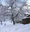 Januar und Februar 2012: Kältewelle in Bulgarien
