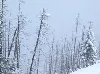 03. Februar 2012: Strenger Frost auf der Zugspitze