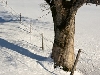 03. Februar 2012: Klirrende Kälte am Großen Arber