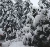 04. Februar 2012: Klirrende Kälte in Garmisch-Partenkirchen