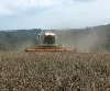 DRV-Ernteschätzung Getreide 2012 - Deutschland