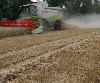 Ernteschätzung Getreide 2012 - Deutschland