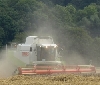 Ernteschätzung Getreide 2012 - Rheinland-Pfalz