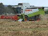 Ernteschätzung Getreide 2012 - Hessen