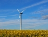 Windkraftanlage Biedesheim