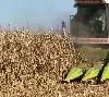 Nägel im Mais beschädigen Erntemaschine